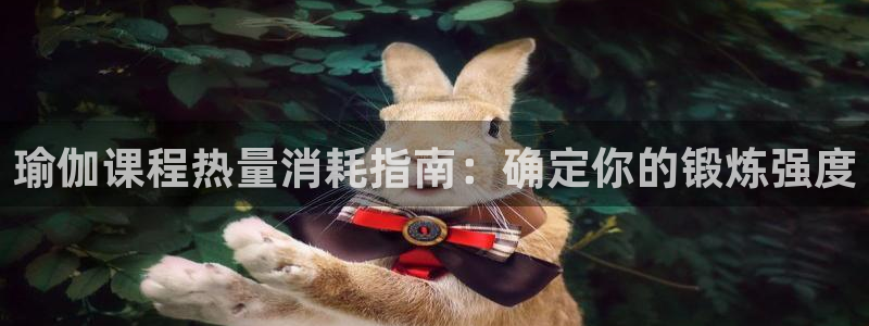 网上哪个平台可以买足球
