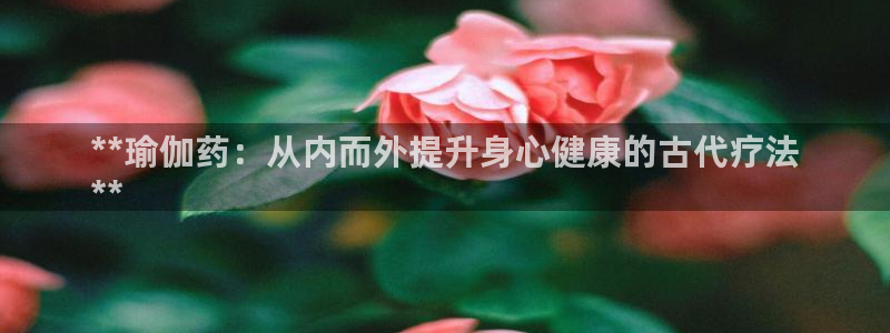 欧洲杯买注在哪买